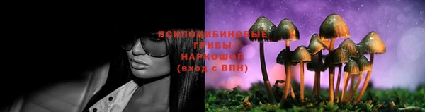 круглые Корсаков