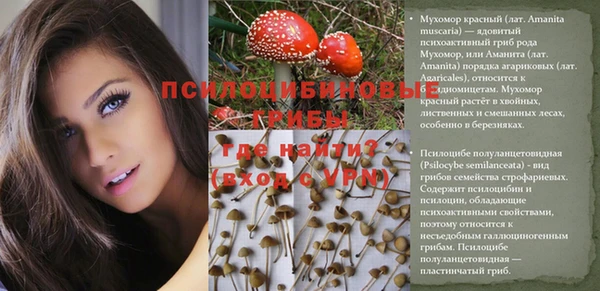 круглые Корсаков
