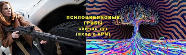 круглые Корсаков
