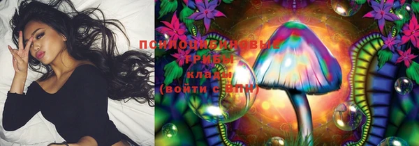 круглые Корсаков