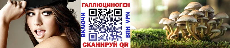 Галлюциногенные грибы Psilocybine cubensis  где найти   Обнинск 